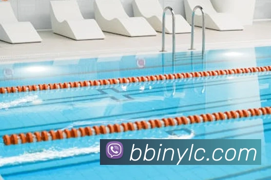 bbin宝盈APP 封面图